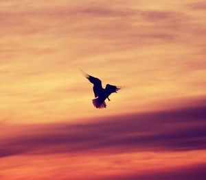Low angle view of airplane flying in cloudy sky