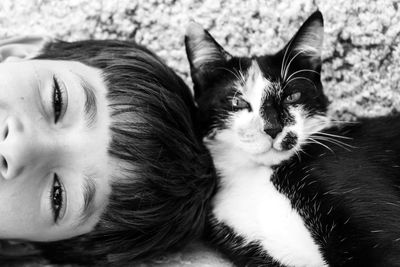 Close-up portrait of cat lying down