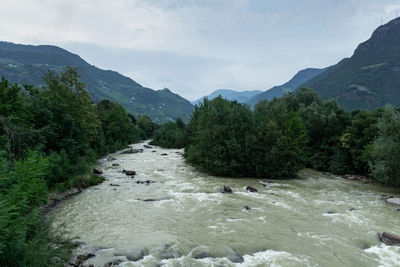 Scenic view of river amidst trees against sky