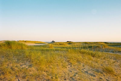 Scenic view of field against clear sky during sunset