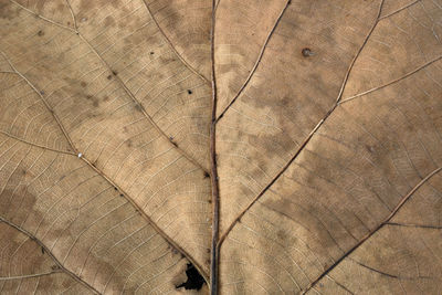 Full frame shot of textured surface