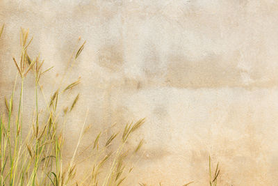 Full frame shot of sand