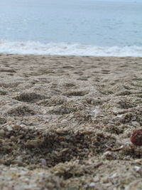 Close-up of beach against sky