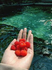 Wild raspberry