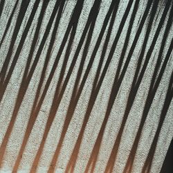 Full frame shot of tiled floor