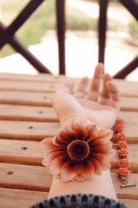 Close-up of hand holding flower