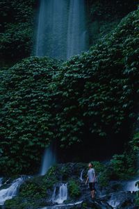 Rear view of waterfall amidst trees in forest