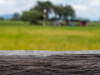 field