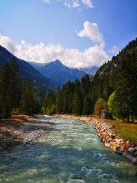 Scenic view of waterfall in forest against sky