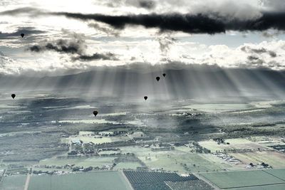 Birds flying over sea against sky