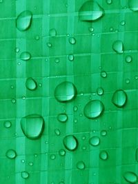 Full frame shot of water droplets on green plastic surface