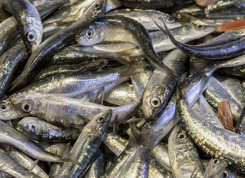 Full frame shot of fish for sale in market