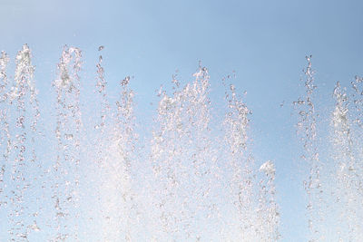 Low angle view of birds flying against clear blue sky