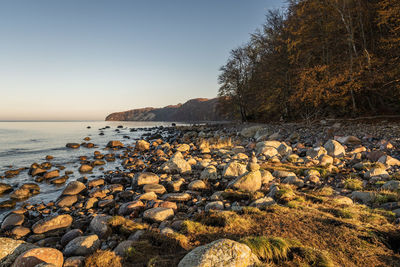 Scenic view of sea against clear sky