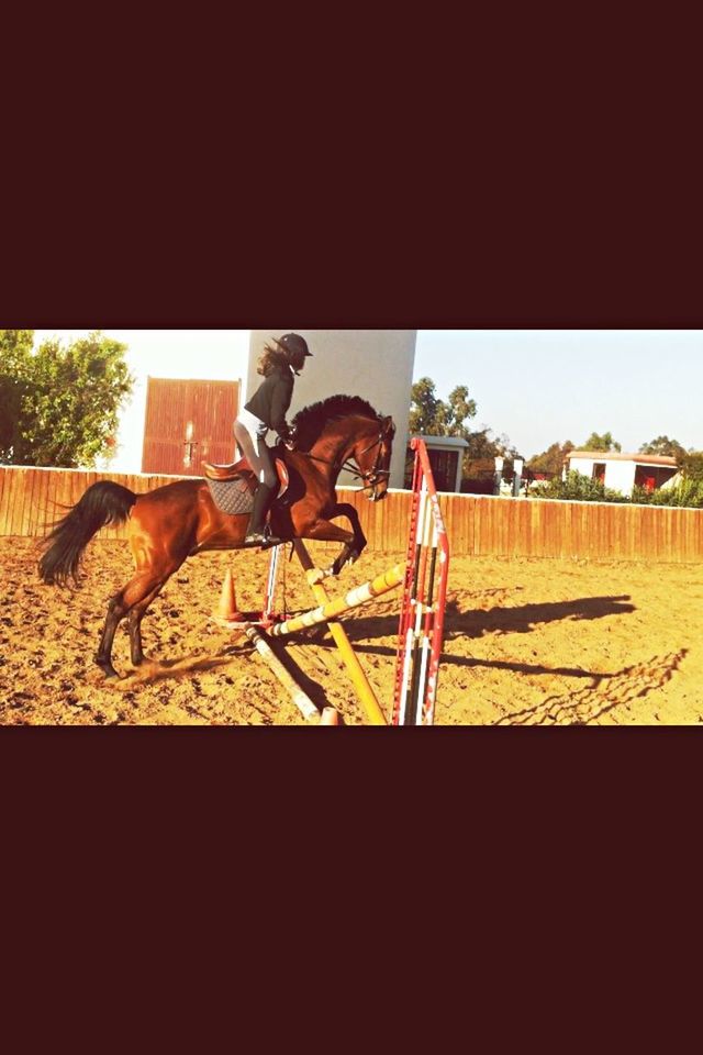 Jumping 💖