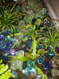 Close-up of christmas decorations