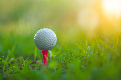 White golf ball on tee on green grass of golf course with copy space