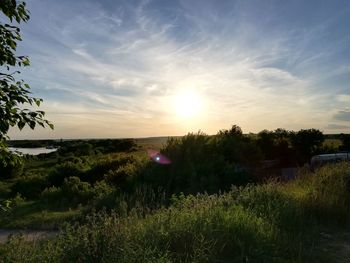 Scenic view of field against sky during sunset