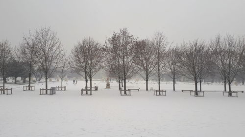 Trees on snow covered field against sky