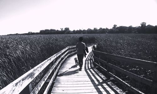 Rear view of person with dog amidst field on boardwalk