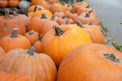 Close-up of pumpkins for sale at market stall