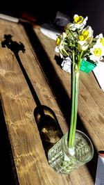 High angle view of potted plant on table