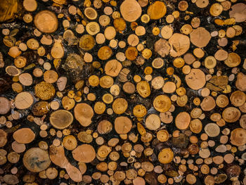 Full frame shot of logs in forest