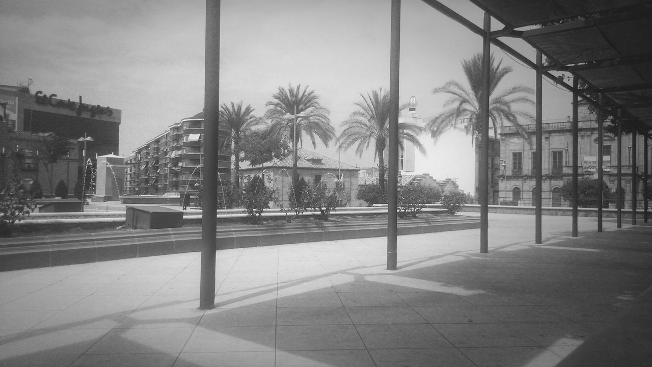 architecture, built structure, building exterior, tree, city, street, incidental people, sidewalk, building, sky, day, sunlight, city life, shadow, empty, transportation, road, outdoors, residential building, footpath