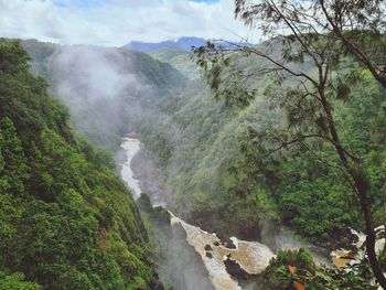 Scenic view of waterfall in forest