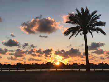 Silhouette palm trees on beach against sky during sunset