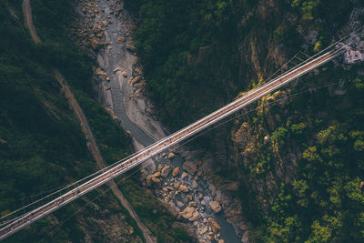 High angle view of river amidst trees