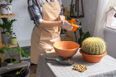 Midsection of woman holding potted plant