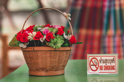 Close-up of red flower in pot