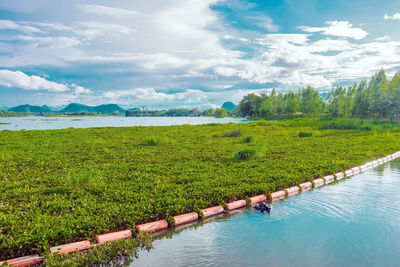 Scenic view of swimming pool against sky