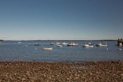 Scenic view of sea against clear sky