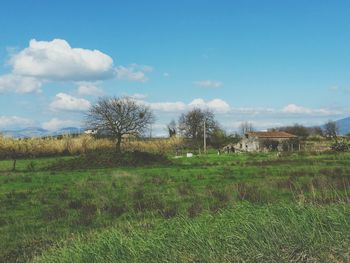 Scenic view of grassy field against cloudy sky