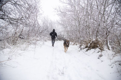 Dog on snow covered land during winter