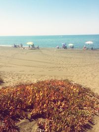 Scenic view of beach against clear sky