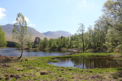 Scenic view of lake by trees against sky