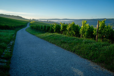 Road amidst field against sky