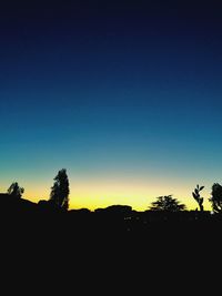 Silhouette trees against clear sky at sunset