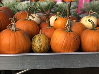 Pumpkins for sale at market stall