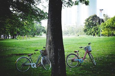 Bicycle in park