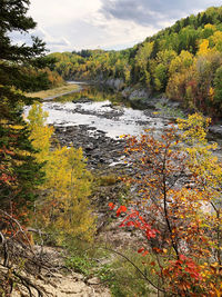 Scenic view of river amidst trees during autumn