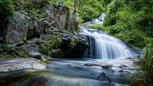 Scenic view of waterfall in forest