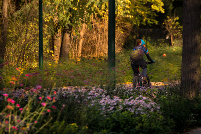 Woman riding bicycle in forest