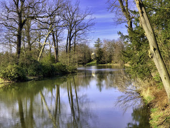 Scenic view of lake in forest against sky