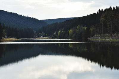 Scenic view of lake by trees against sky