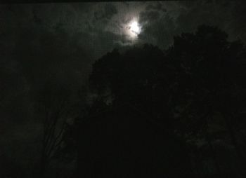 Low angle view of silhouette trees against sky at night