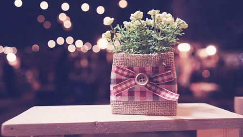 Close-up of small potted plant on table